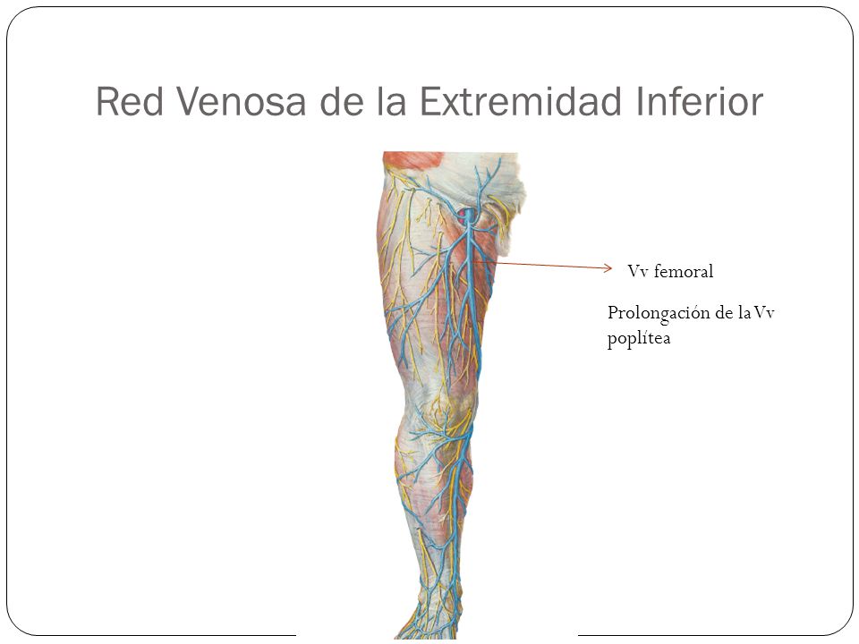 El centro flebologii nmhts por ello pirogova las revocaciones